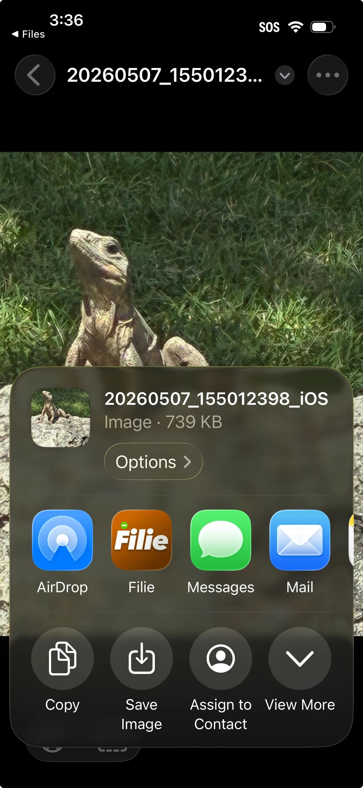 Filie on iOS