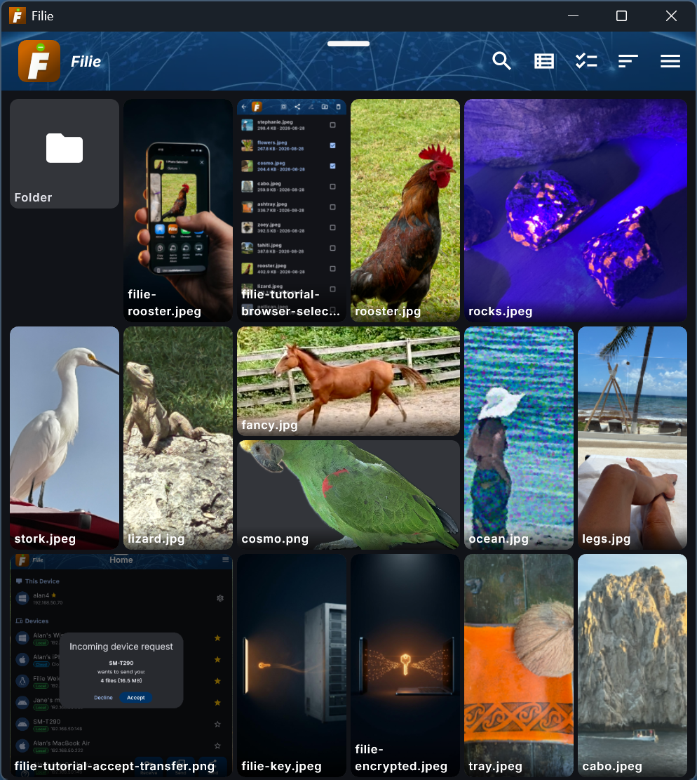 The Filie app on Windows, showing folders and photo thumbnails in the file browser icon view